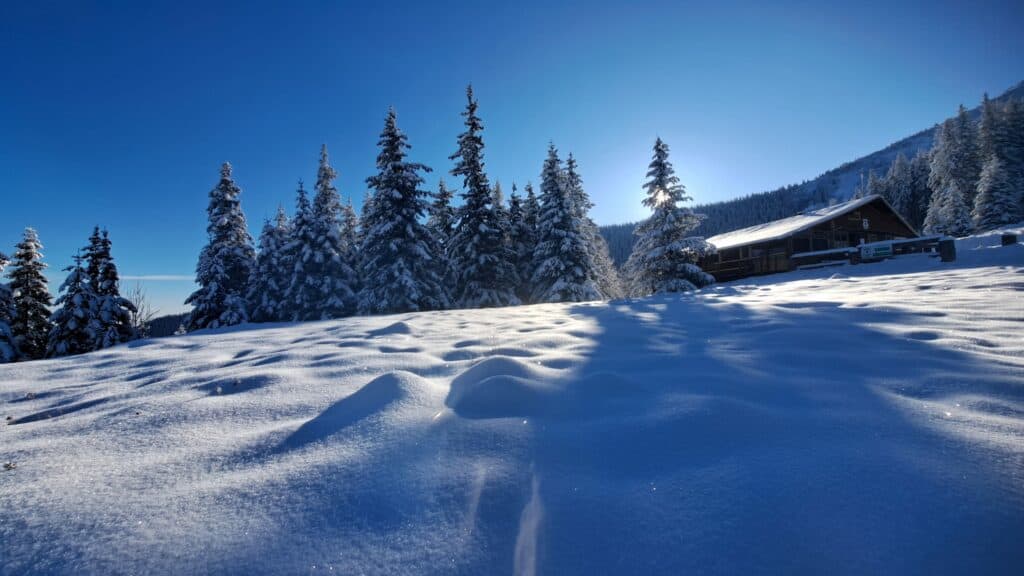 iarna și-a reintrat în drepturi la cabana bârcaciu. stratul de zăpadă a ajuns la 15 centimetri (foto)