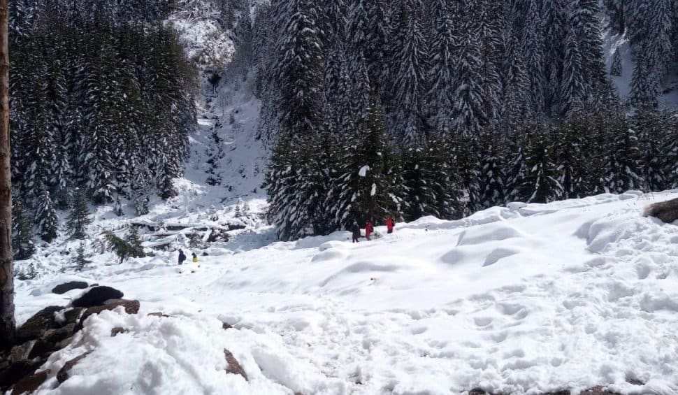 strat de zăpadă de 25 de centimetri pe valea sâmbetei, în munții făgăraș