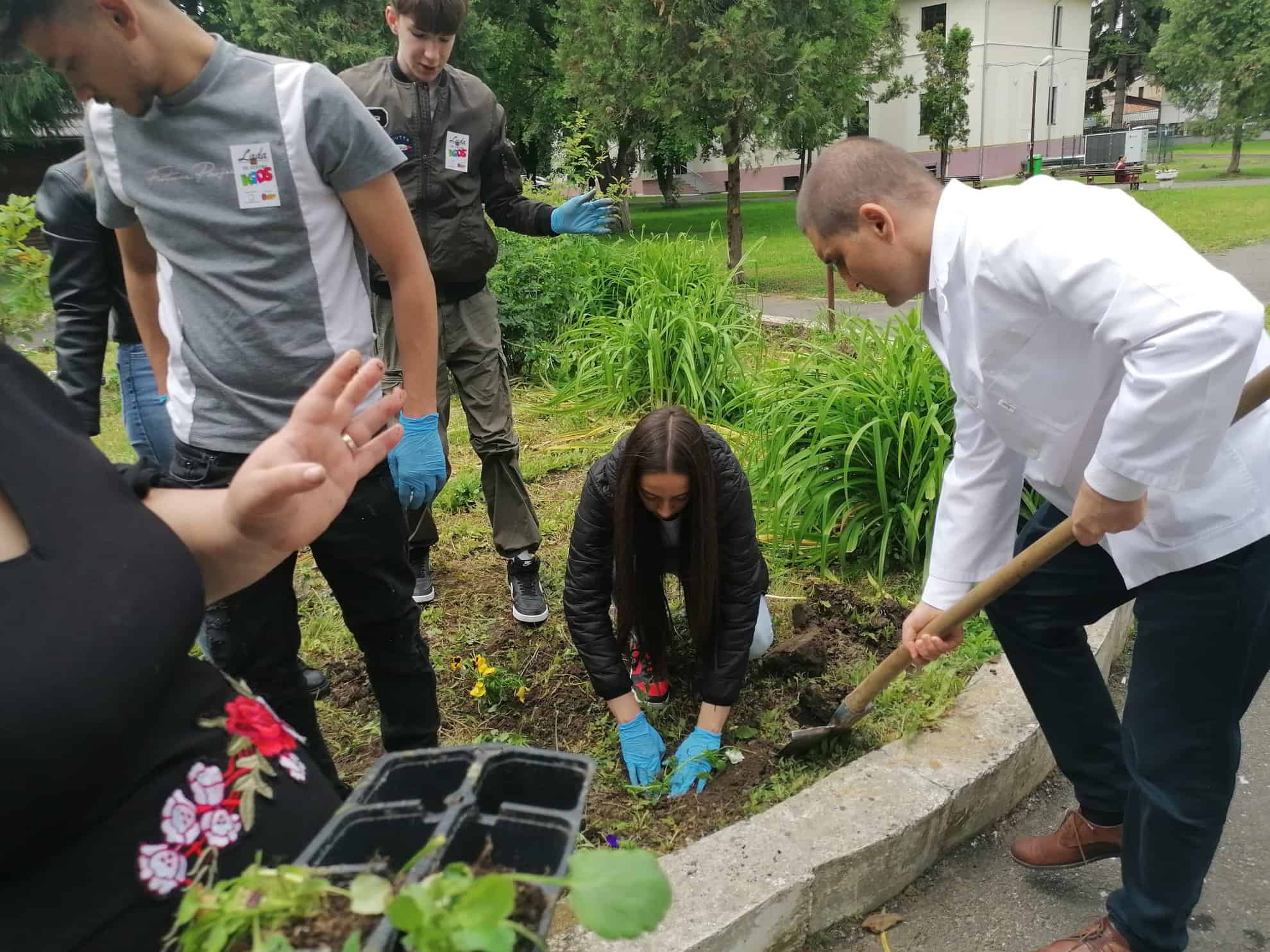 voluntarii asociației „totul pentru comunitate” au plantat flori în curtea spitalului de pneumoftiziologie sibiu (foto)