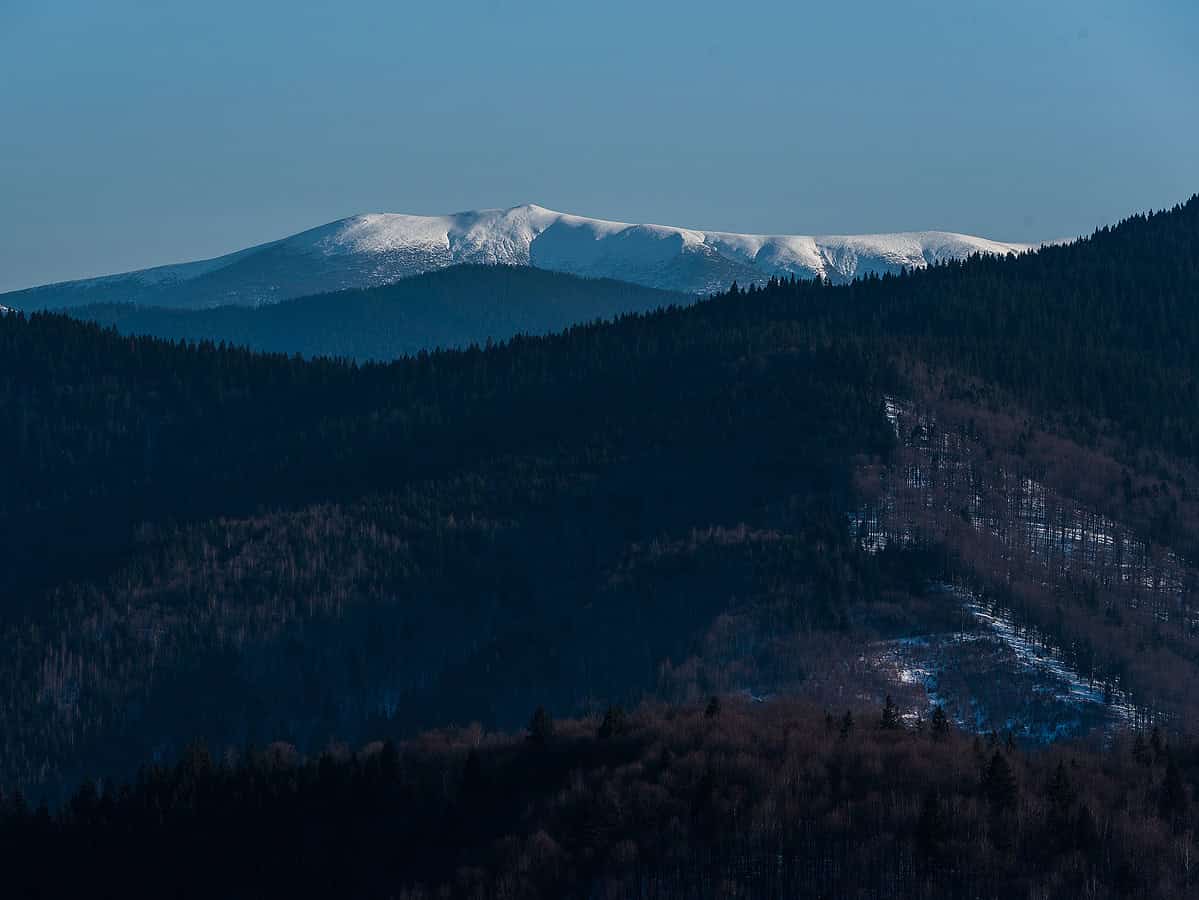 Comunele Rășinari, Sadu și Cârțișoara colaborează pentru realizarea unor investiții în munți