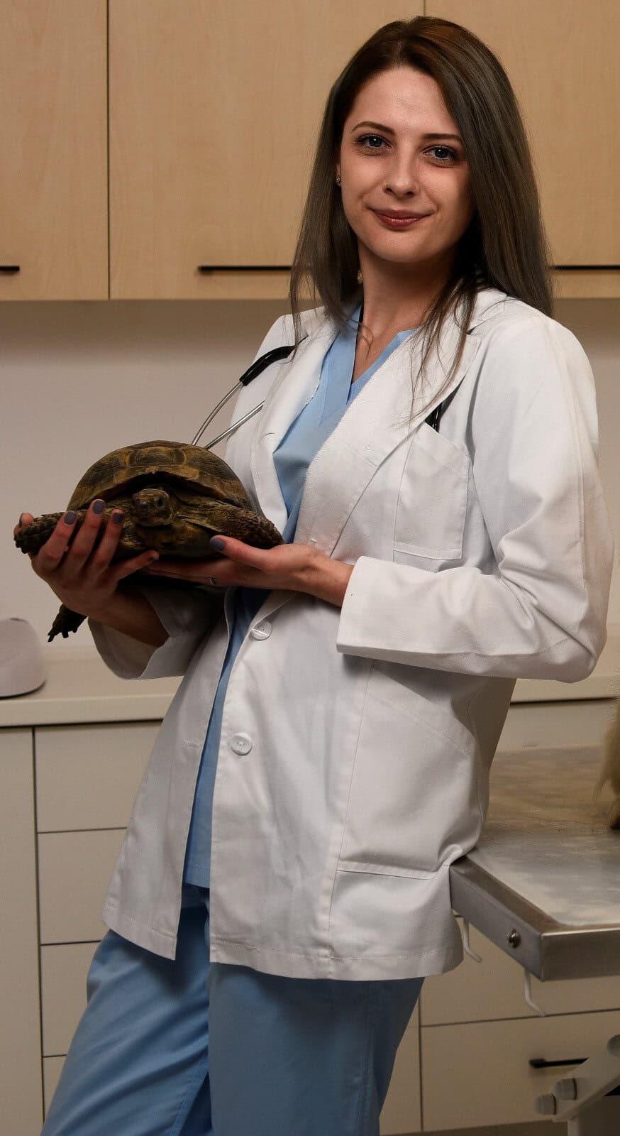 george și carina, medicii din sibiu care salvează broaște țestoase abandonate (foto video)
