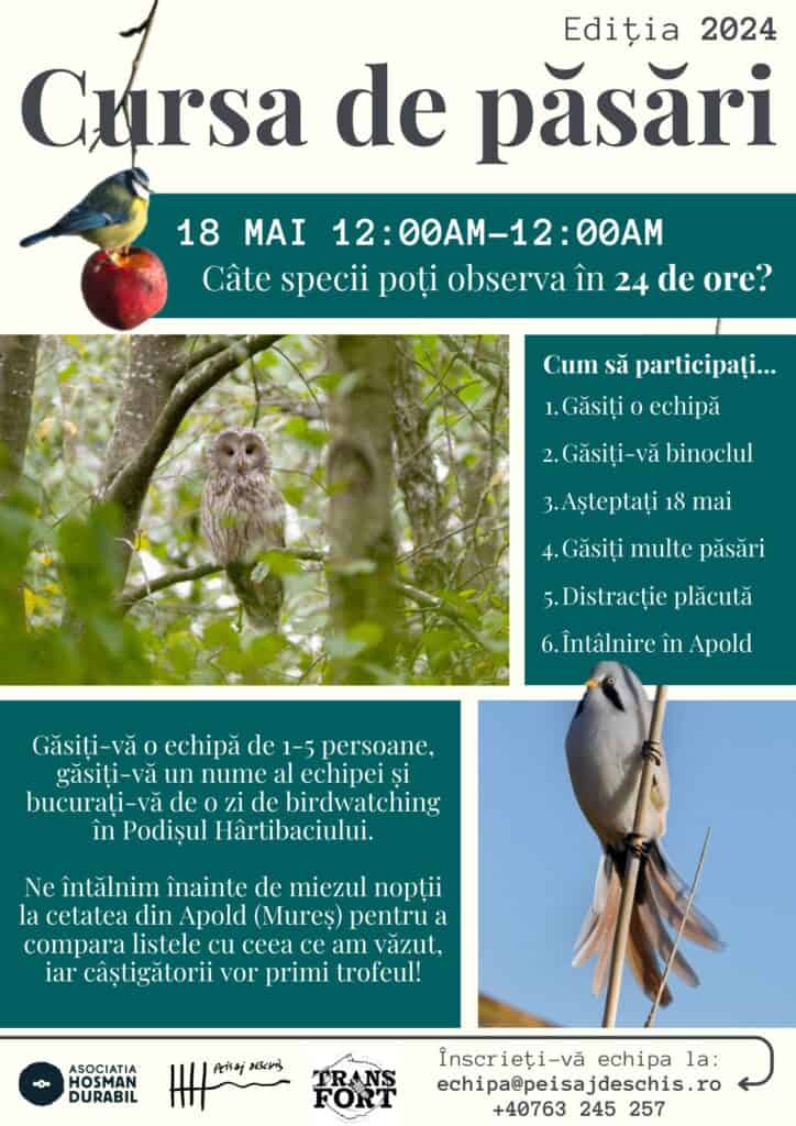 sibienii invitați la un concurs inedit de observare a păsărilor în valea hârtibaciului