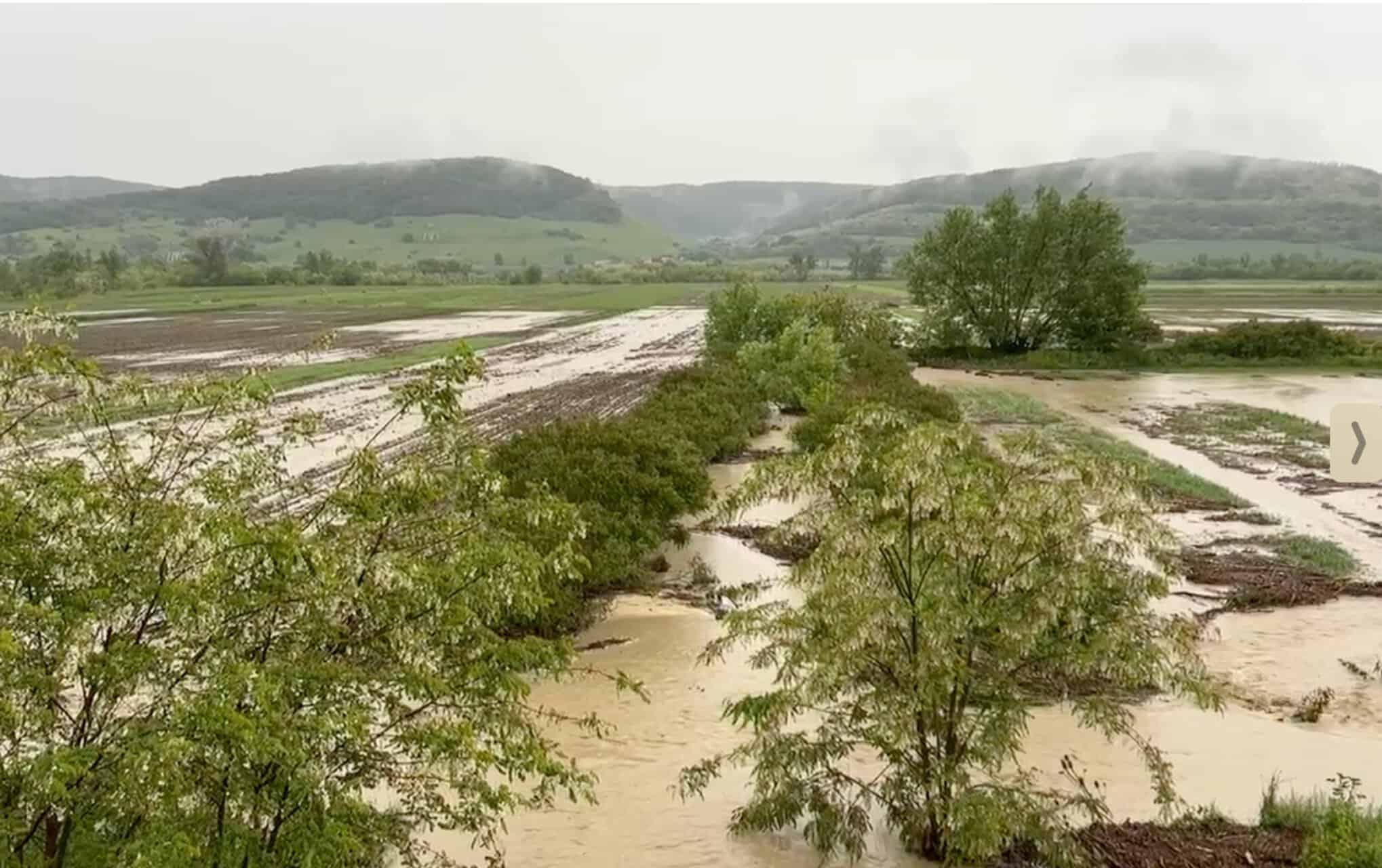 ploaia a făcut prăpăd în satul chesler din sibiu (video, foto)