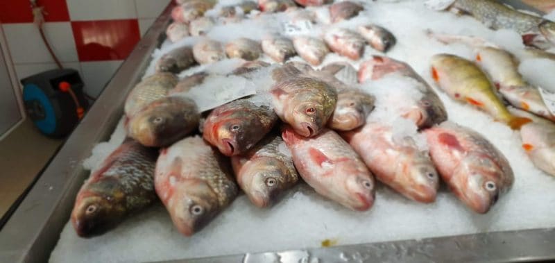 inspectorii anpc au retras peste 1,3 tone de pește expirat din magazine