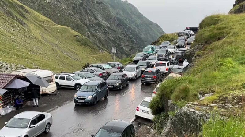 Cod galben de ploi în zona de munte a Sibiului