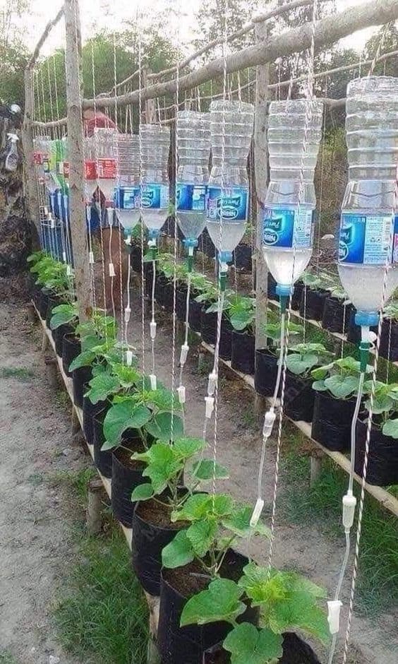 cum să-ți amenajezi grădina de vară cu materiale reciclabile