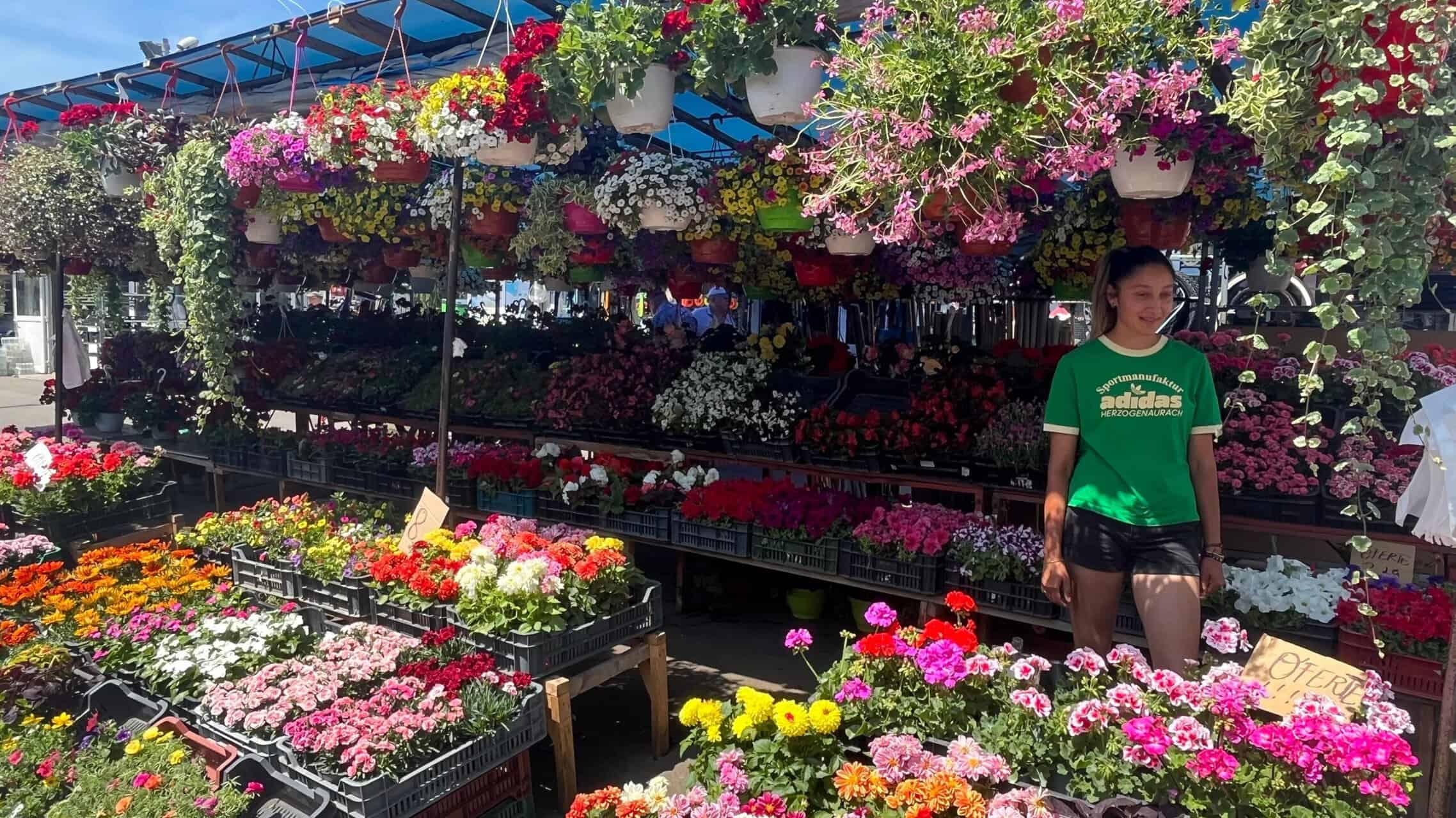 dușmanul cel mai aprig al comercianților din piețele sibiului: „nouă cu florile ne e cel mai greu”