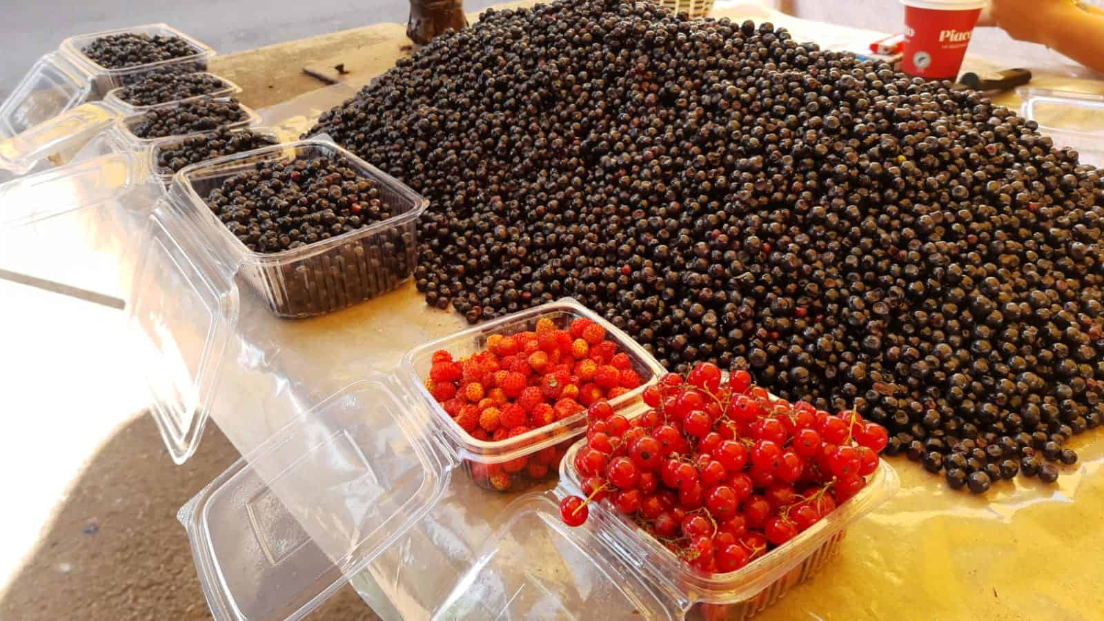 afine culese de la gura râului mai ieftine decât anul trecut și fragi cu 250 de lei kilogramul, în piața cibin (foto)