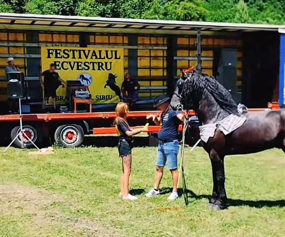 o familie din sibiu organizează un festival dedicat iubitorilor de cai. „îl facem din pasiune”