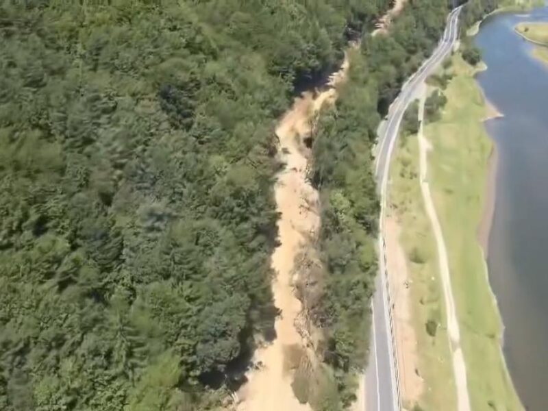 aproximativ 20 la sută din cele 10 hectare de pădure au fost defrișate pe valea oltului (video)