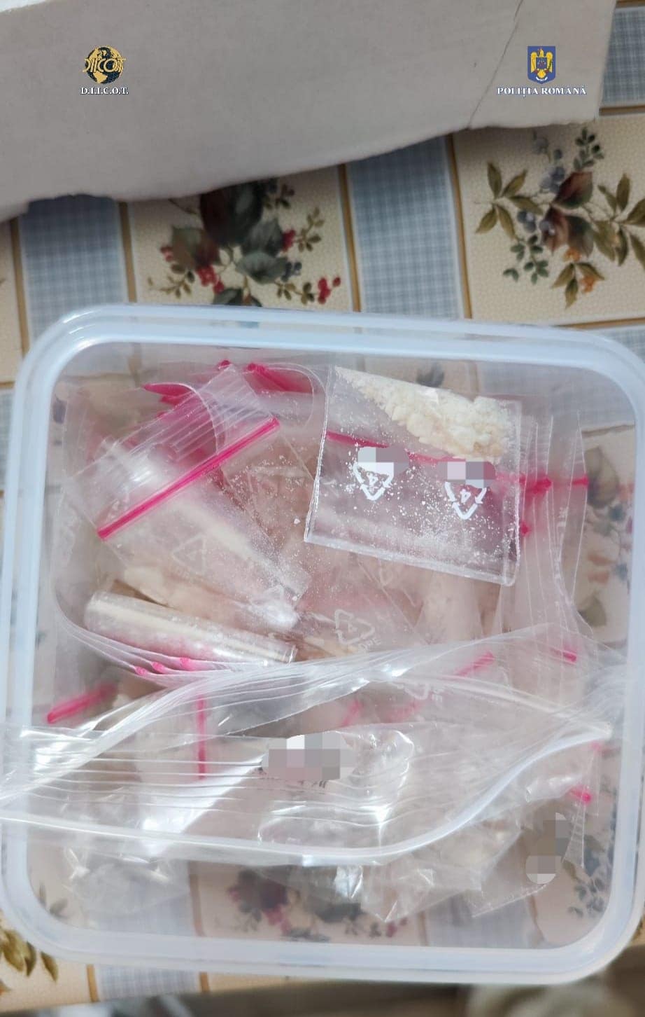 sibiancă traficant de droguri arestată. vindea cristal cu 300 de lei doza (foto)