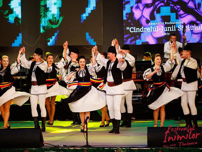 „cindrelul-junii sibiului” susține un spectacol la festivalul inimilor din timișoara