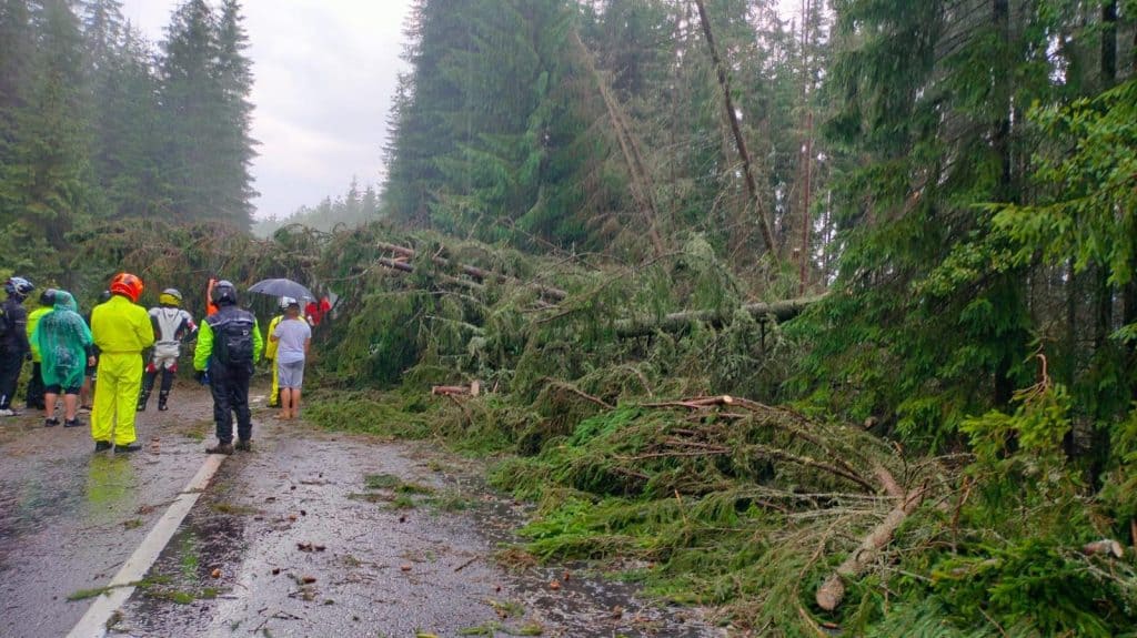 furtuna puternică pe transalpina în apropiere de jina. zeci de arbori doborâți și trafic blocat (foto)