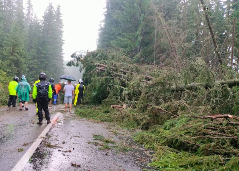 furtuna puternică pe transalpina în apropiere de jina. zeci de arbori doborâți și trafic blocat (foto)
