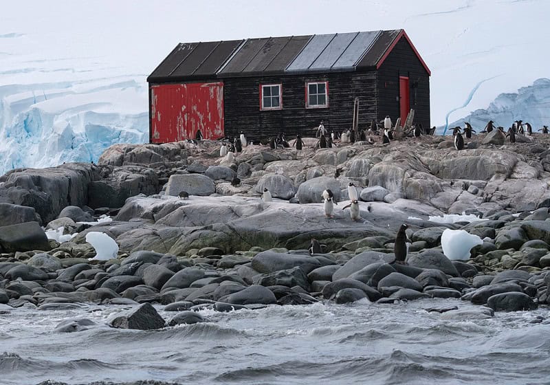 temperaturile ating recorduri neobișnuite în antarctica