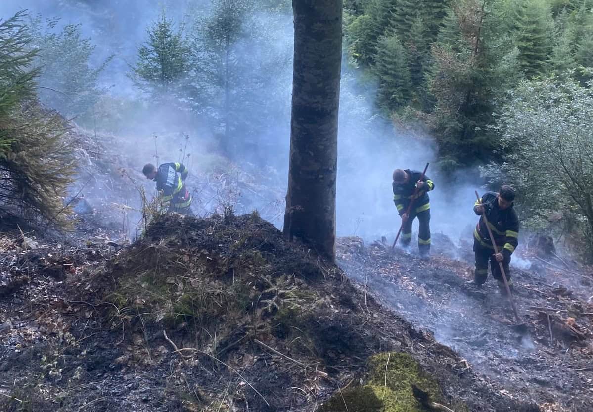 incendiu uriaș de pădure la păltiniș. a fost declanșat de accidentul mortal de luni cu atv-ul (foto, video)