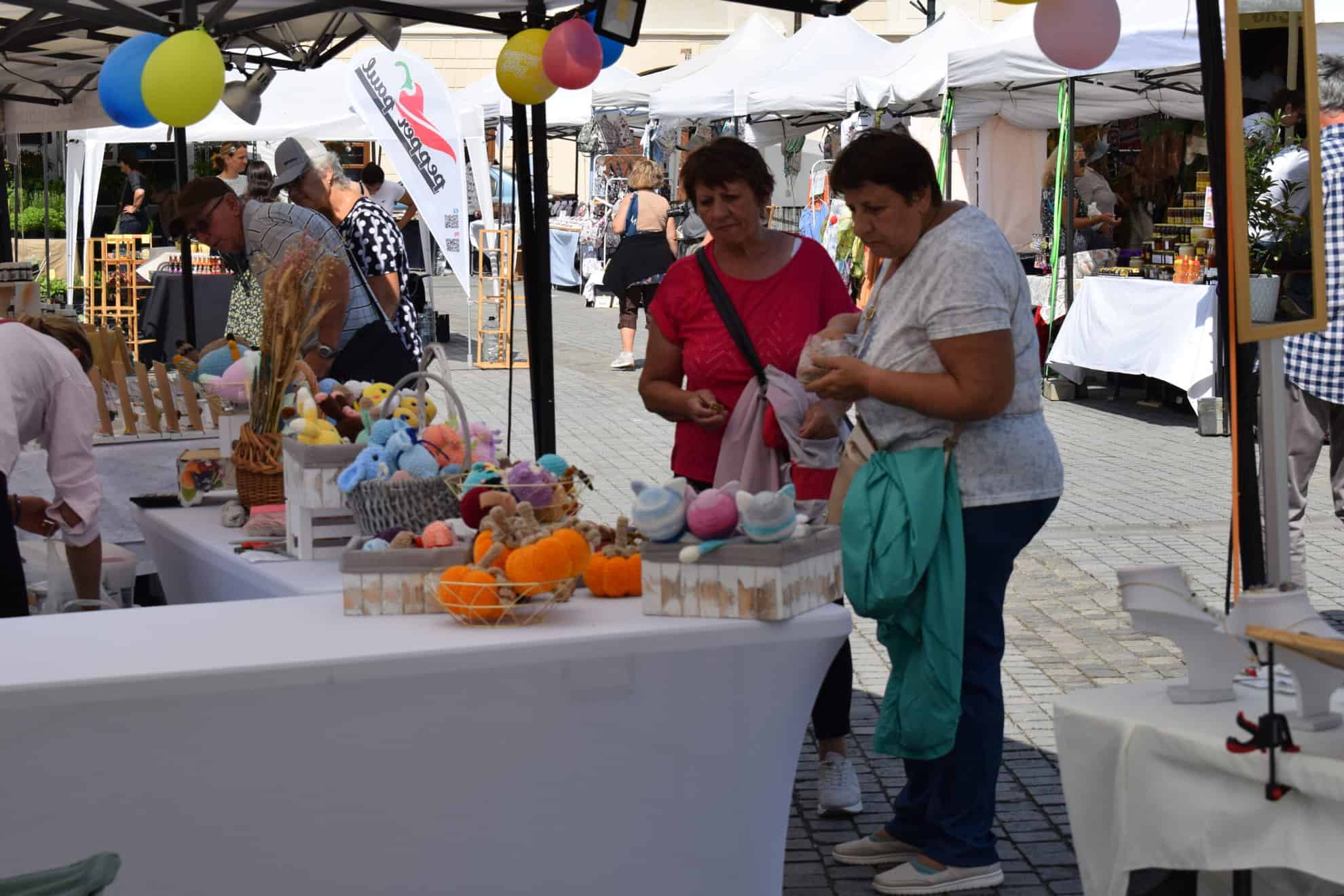 Meşteşugara din Sibiu care luptă cu producția în masă, creând haine din lână merinos. Mihaela Bălan:,,Poluarea a devenit un trend.“