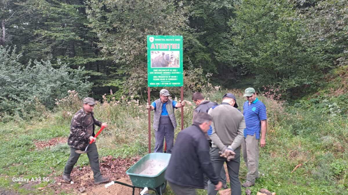 Primele măsuri împotriva celor care dau de mâncare urșilor de pe Transfăgărășan. Panouri cu mesaje de avertizare