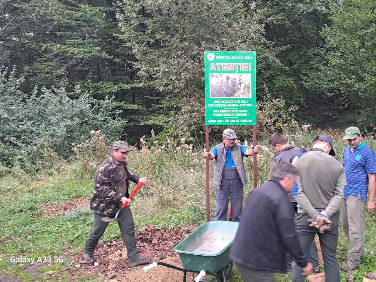 Primele măsuri împotriva celor care dau de mâncare urșilor de pe Transfăgărășan. Panouri cu mesaje de avertizare