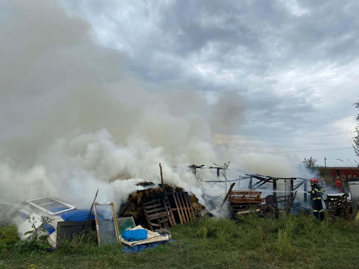 Incendiu pe Prelungirea Mihai Viteazu. Ard baloți de fân (foto)