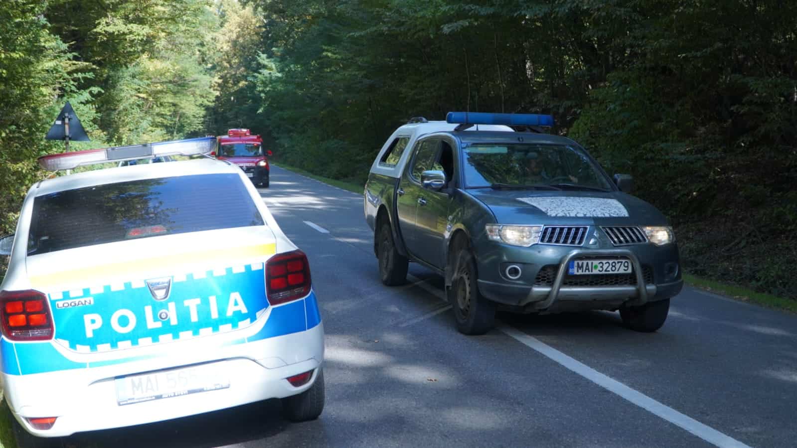 Bărbatul dispărut în pădure la Cisnădioara e de negăsit. Zeci de polițiști și jandarmi au împânzit zona (video, foto)