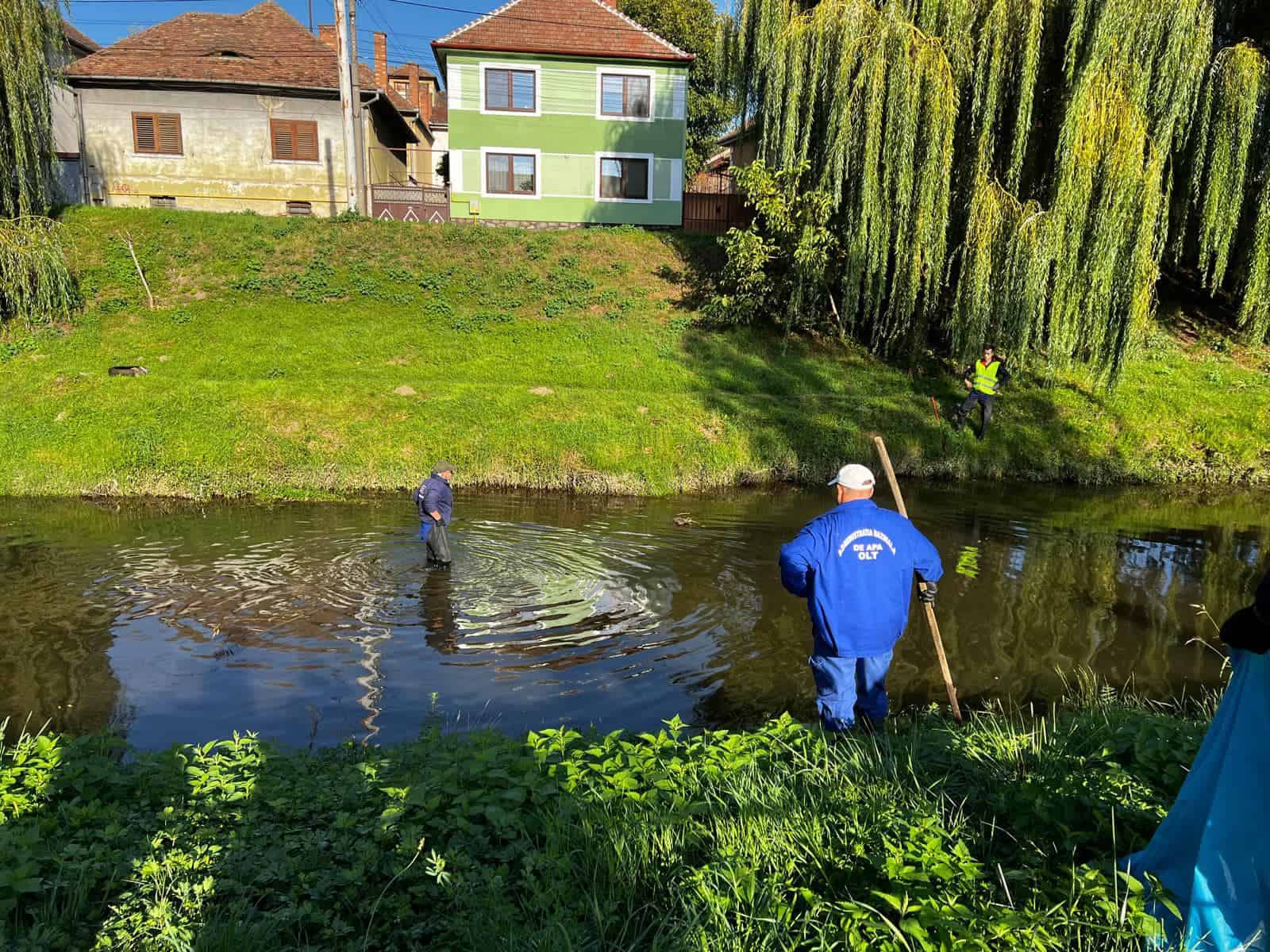 Sute de cauciucuri scoase din râul Cibin în Sibiu (video)