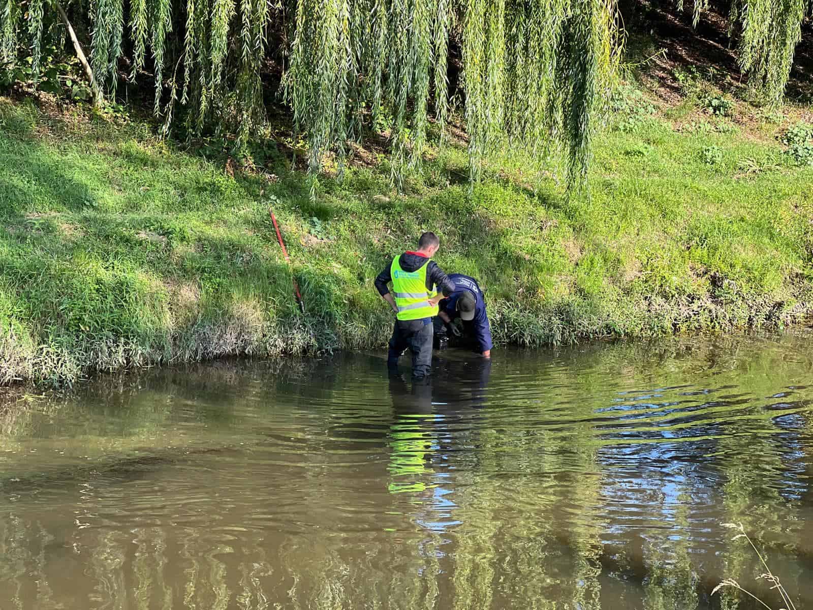 Sute de cauciucuri scoase din râul Cibin în Sibiu (video)