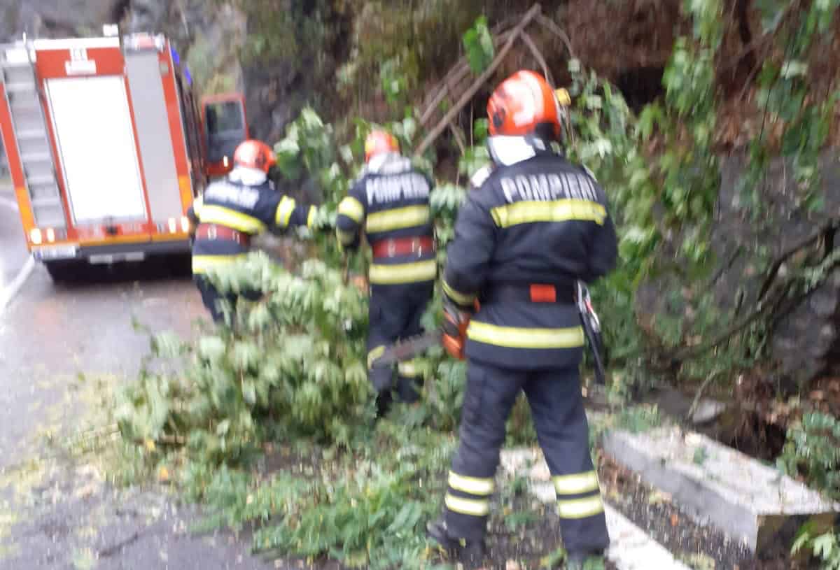 Trafic îngreunat pe DN7 la Călimănești din cauza unui copac căzut pe carosabil