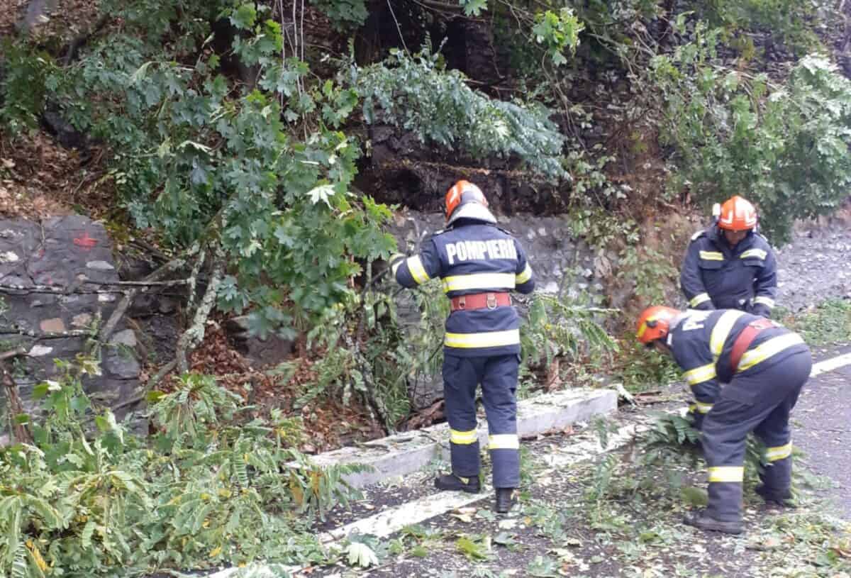 Trafic îngreunat pe DN7 la Călimănești din cauza unui copac căzut pe carosabil