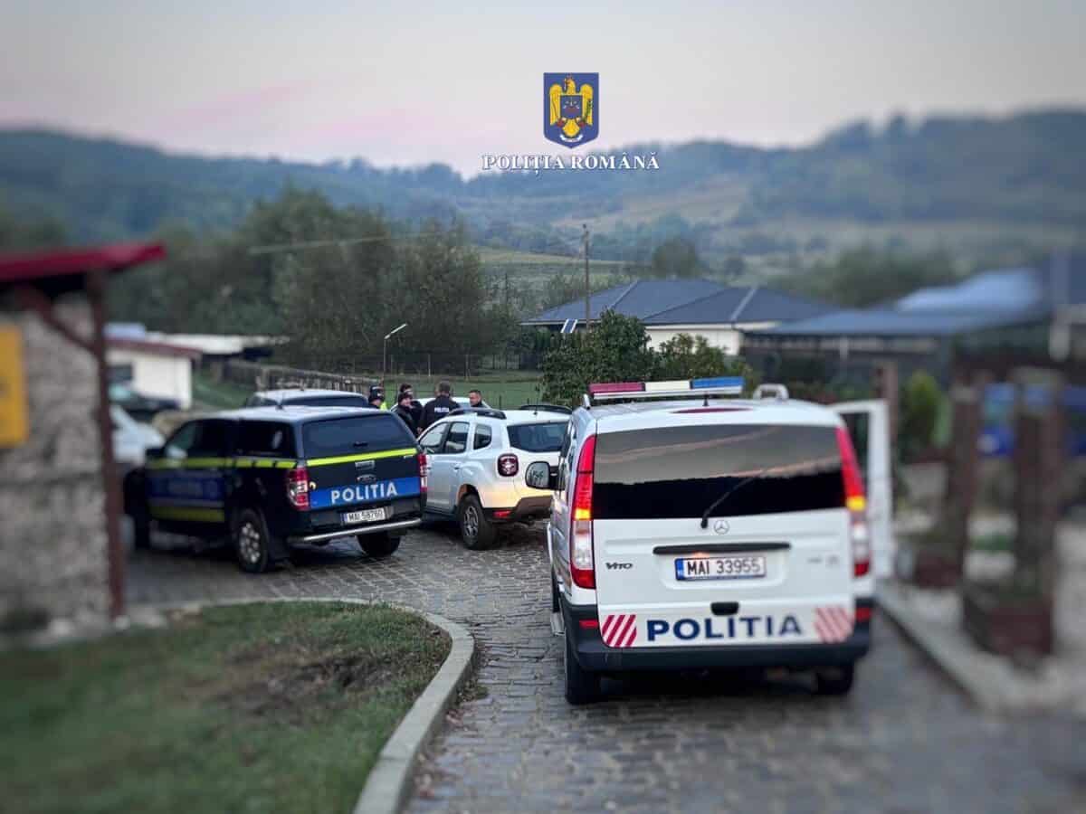 Percheziții la Mediaș. Suspecții au ucis mai mulți câini