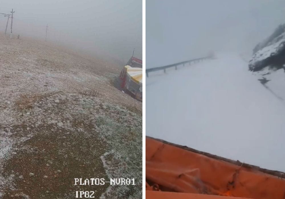 Ninge la Păltiniș. Pe Transfăgărășan este iarnă în toată regula (video)