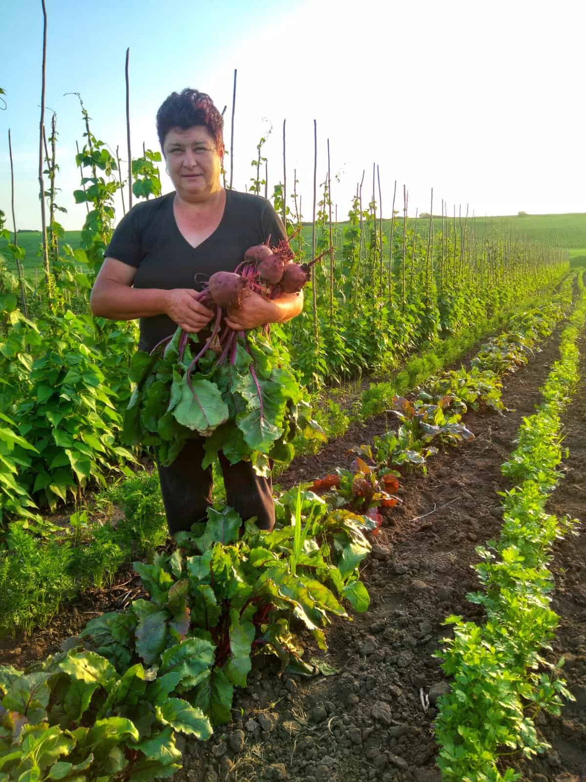 Povestea doamnei Lucia din Piața Volantă de la Sala Transilvania. Și-a dedicat viața muncilor agricole