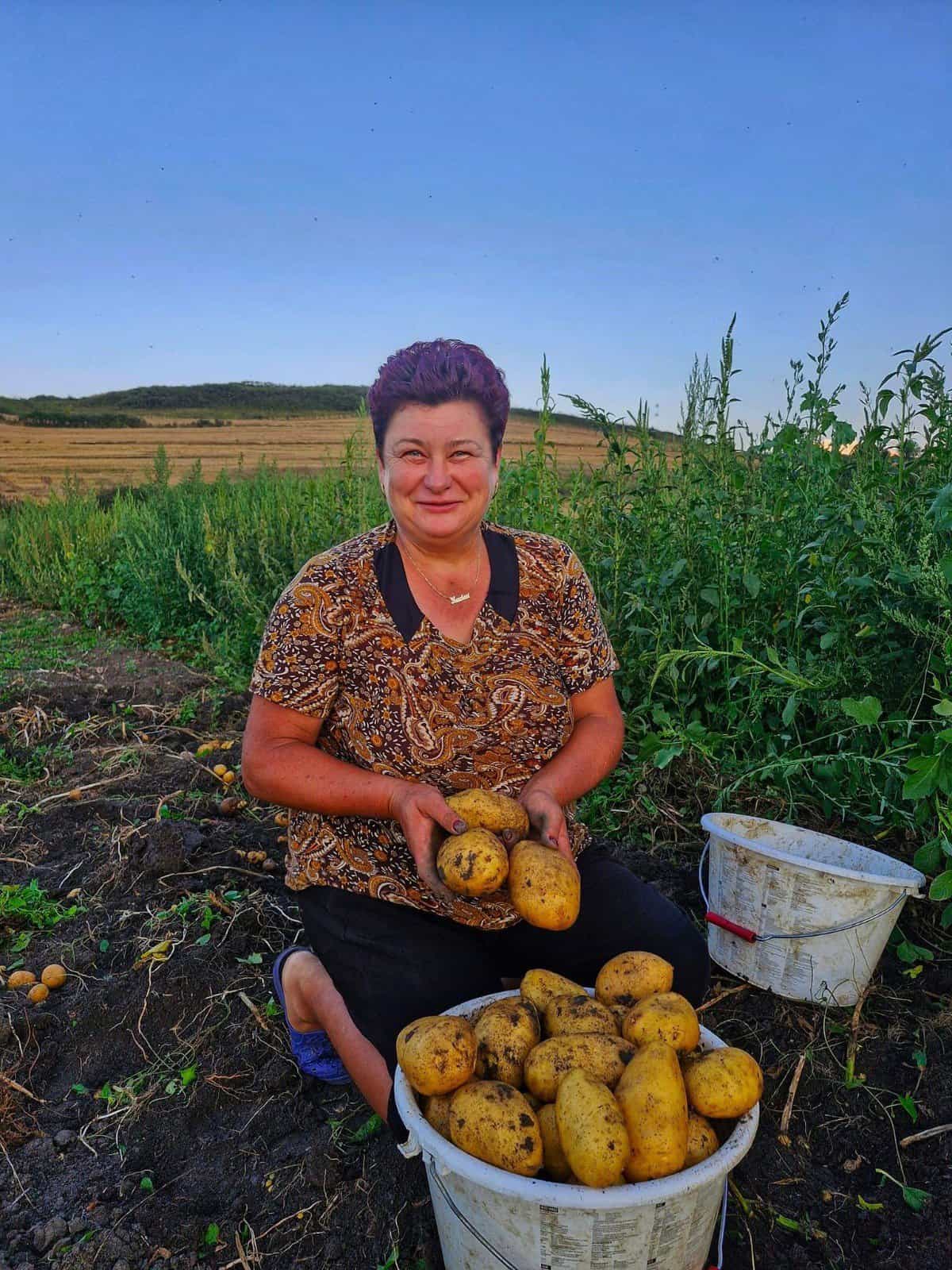 Povestea doamnei Lucia din Piața Volantă de la Sala Transilvania. Și-a dedicat viața muncilor agricole