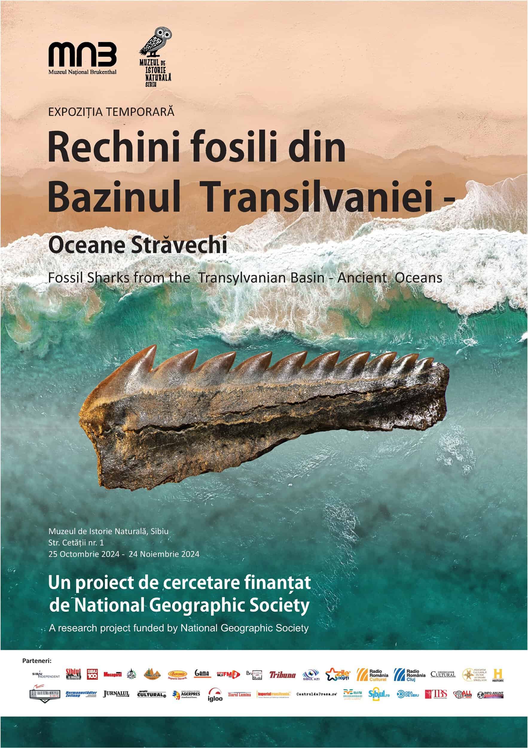 invitație la expoziția „rechini fosili din bazinul transilvaniei” de la muzeul de istorie naturală din sibiu