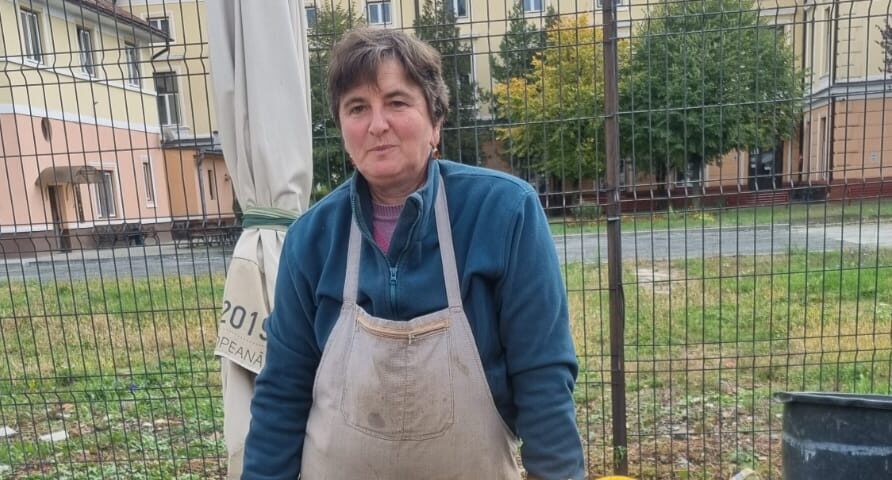 taraba la care găsești legume “made în rășinari” la sibiu. ana blezu le cultivă doar cu îngrășăminte organice (foto)