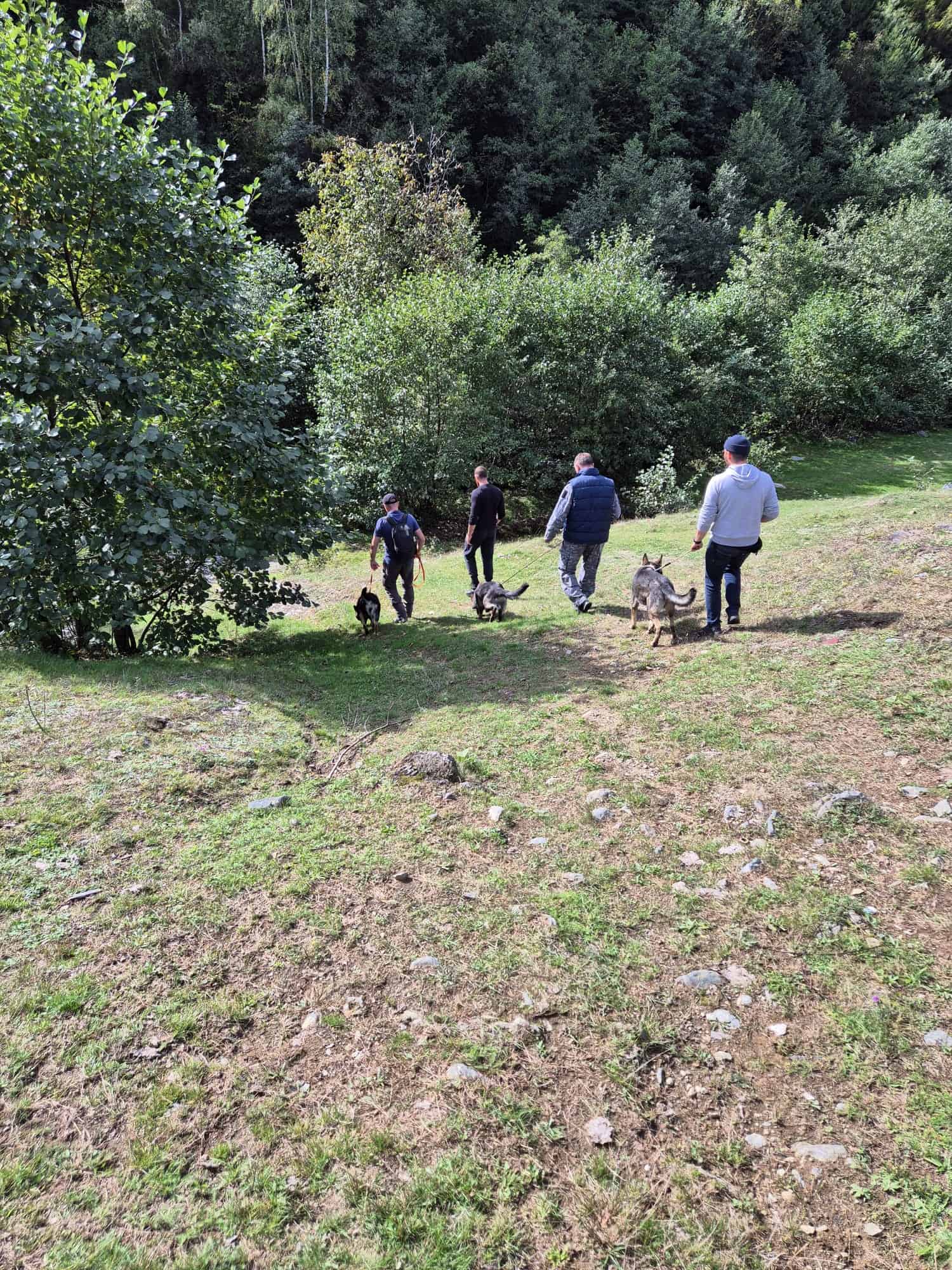 Bărbat din județul Sibiu, dat dispărut. Este căutat de poliție, voluntari și câini (foto)