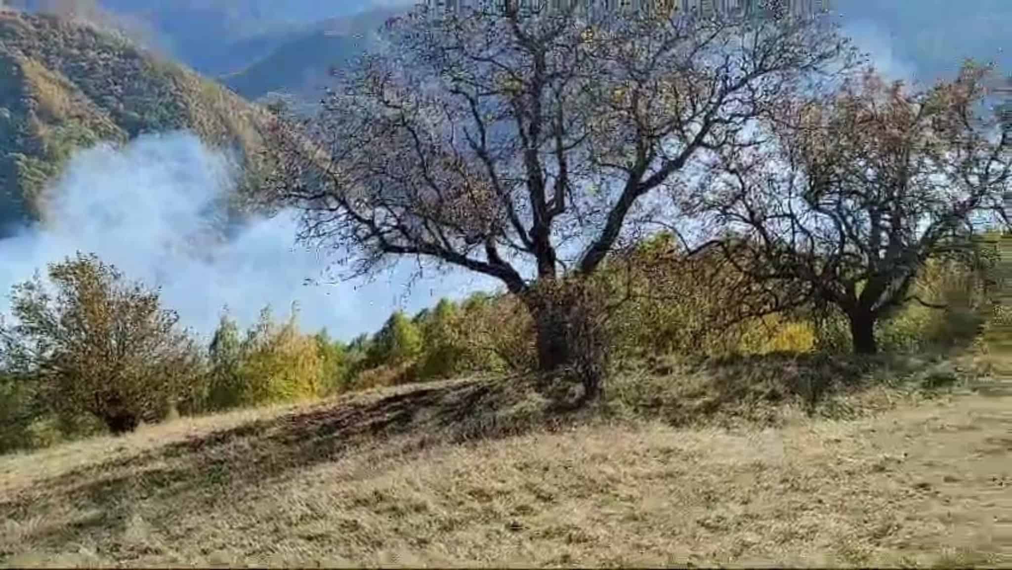 incendiu în pădure la gura râului. oamenii cer să se intervină cu elicopterul (video, foto)