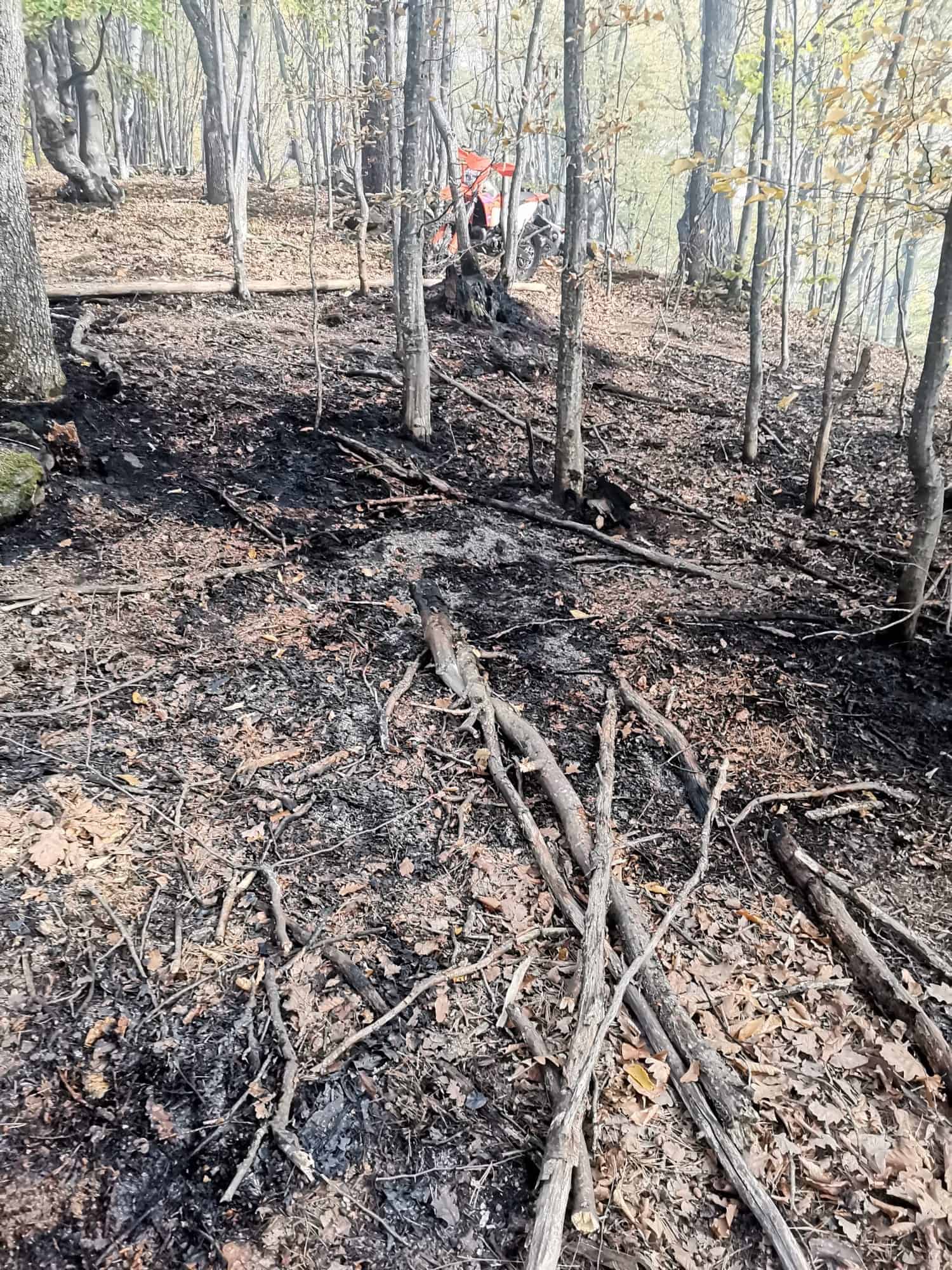 incendiu în pădure la gura râului. oamenii cer să se intervină cu elicopterul (video, foto)