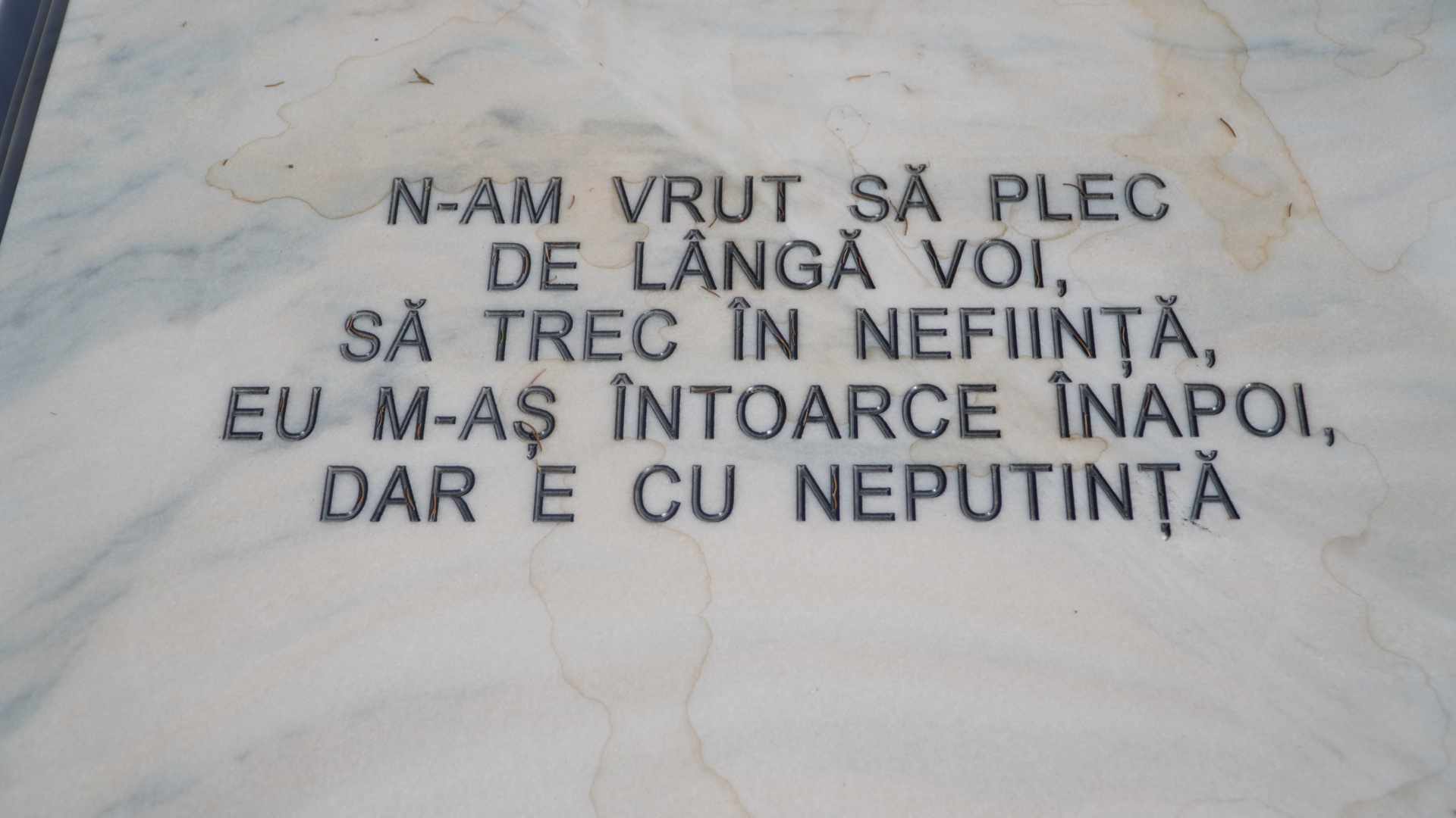 ce scrie pe piatra funerară a lui adrian kreiner. iubita omului de afaceri sibian ucis vrea să fie înmormântată alături de el (foto, video)