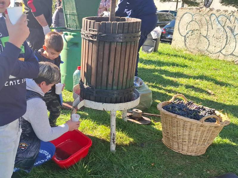 festivalul recoltei între blocuri la sibiu cu must proaspăt și prăjituri de casă (foto)