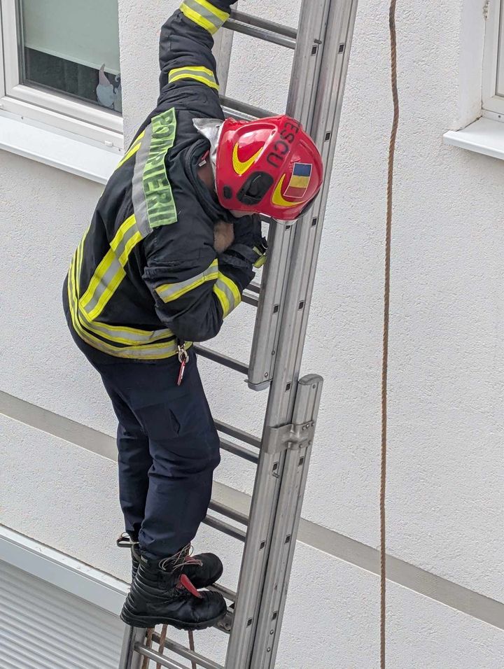 pui de pisică salvat de pompieri de pe pervazul unui bloc din cartierul arhitecților (foto)