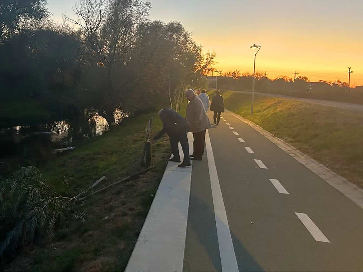 act de vandalism pe malul râului cibin. salcie de lângă pista de biciclete, tăiată cu toporul (foto)