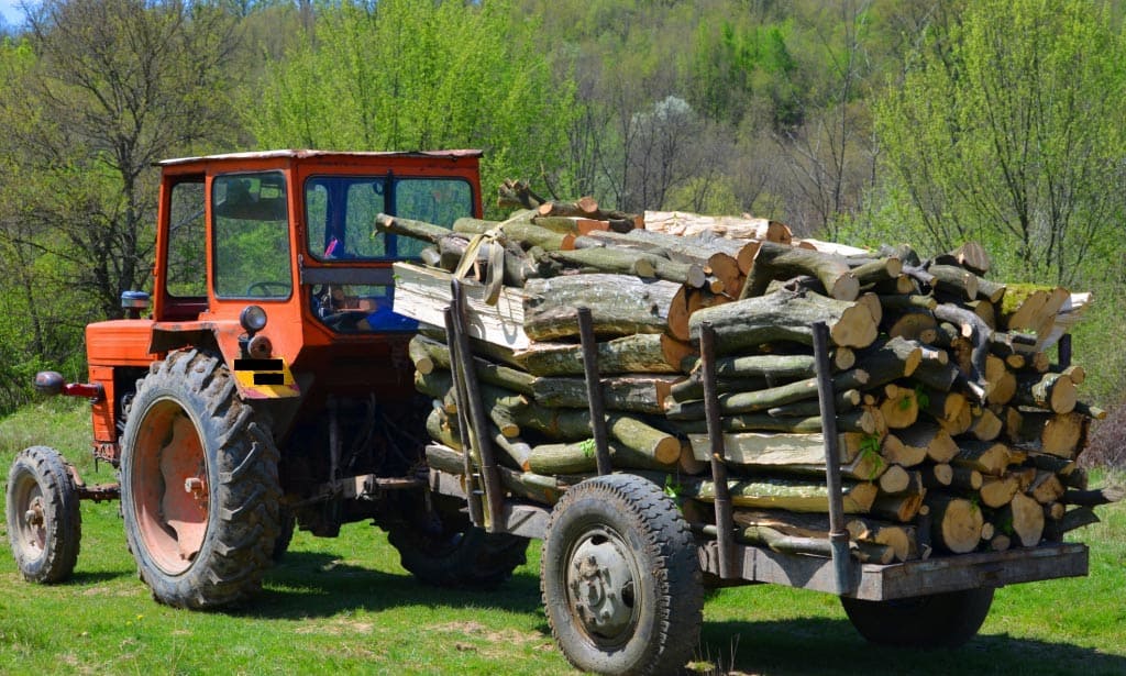 remorcă cu lemne furate din pădure, confiscată în dealul frumos. trei bărbați cercetați de poliție