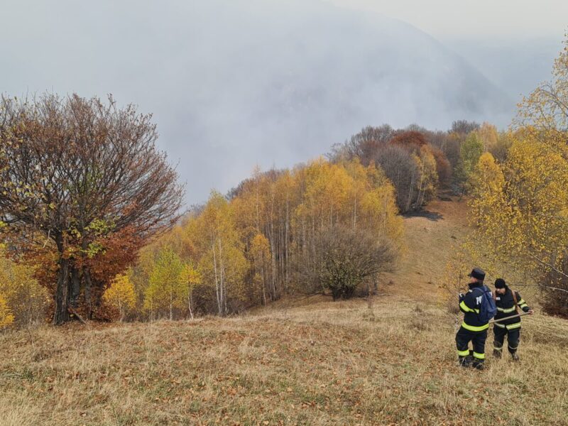 incendiul de pădure de pe valea oltului ia proporții. zeci de pompieri și voluntari luptă cu flăcările (foto)