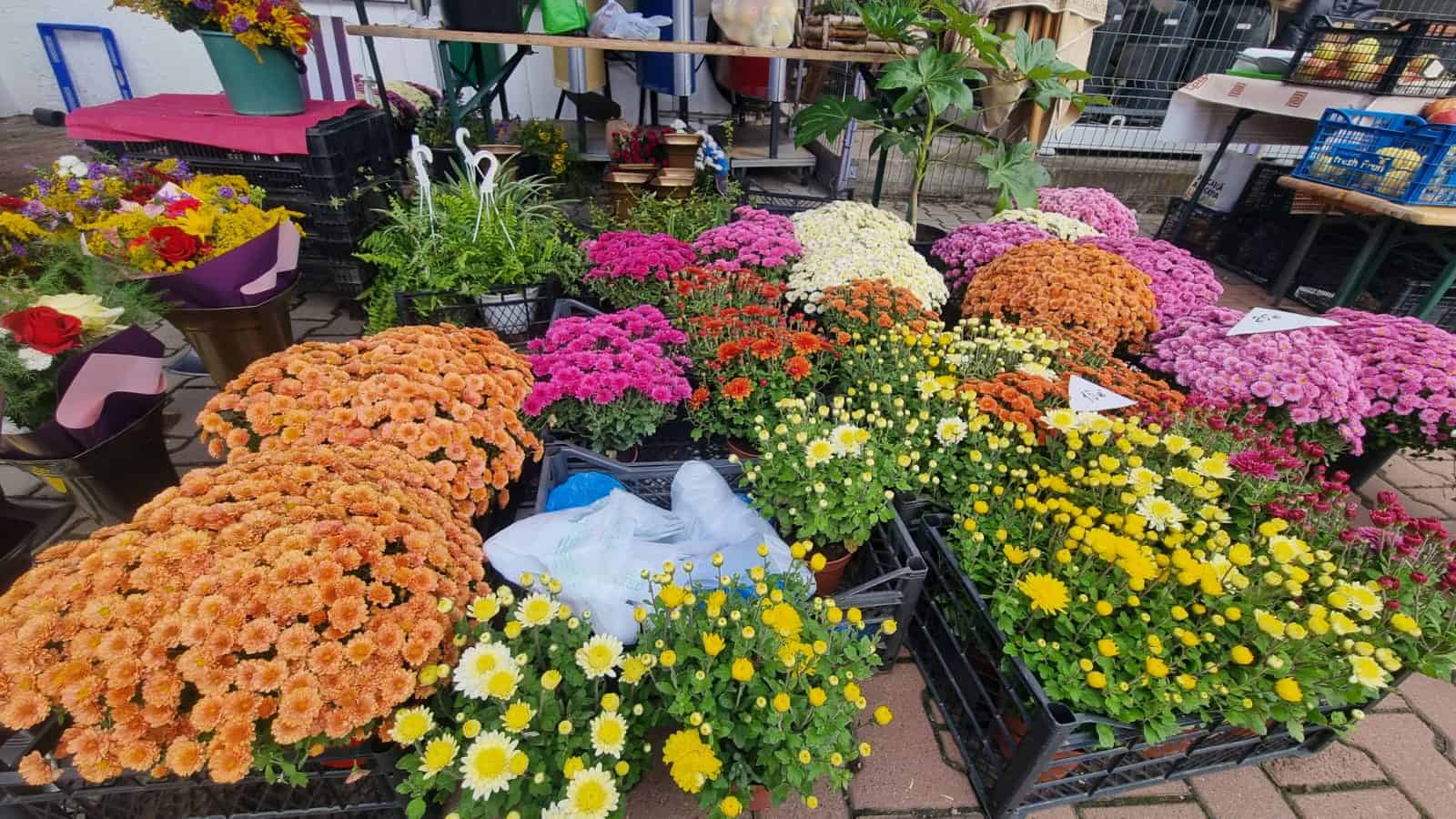 povestea domnului barbu, meșterul florilor din piața volantă transilvania (foto)