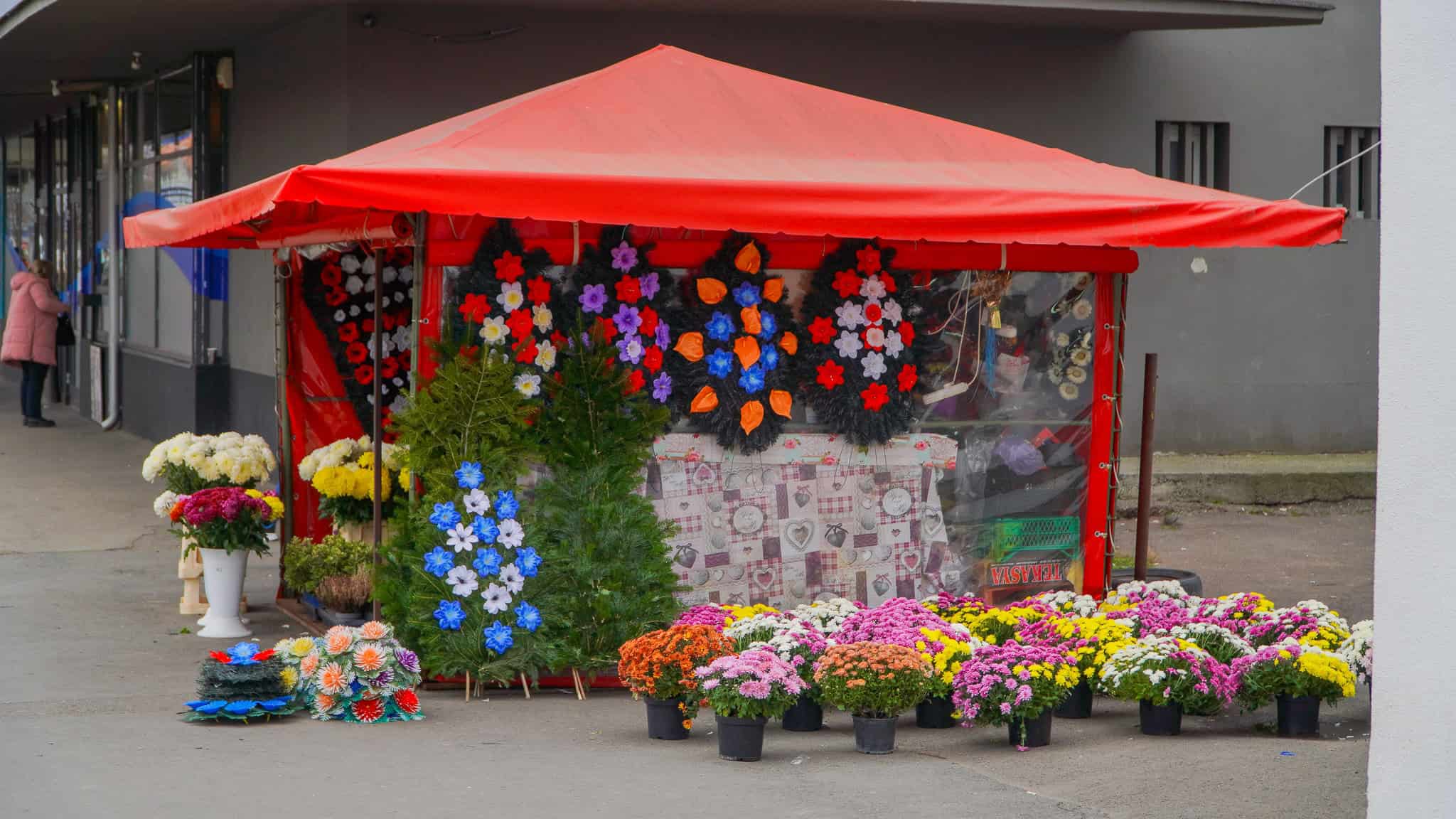 noile chioșcuri pentru flori cumpărate de primăria sibiu, inaugurate. arată bine, iar florăresele sunt încântate (foto video)