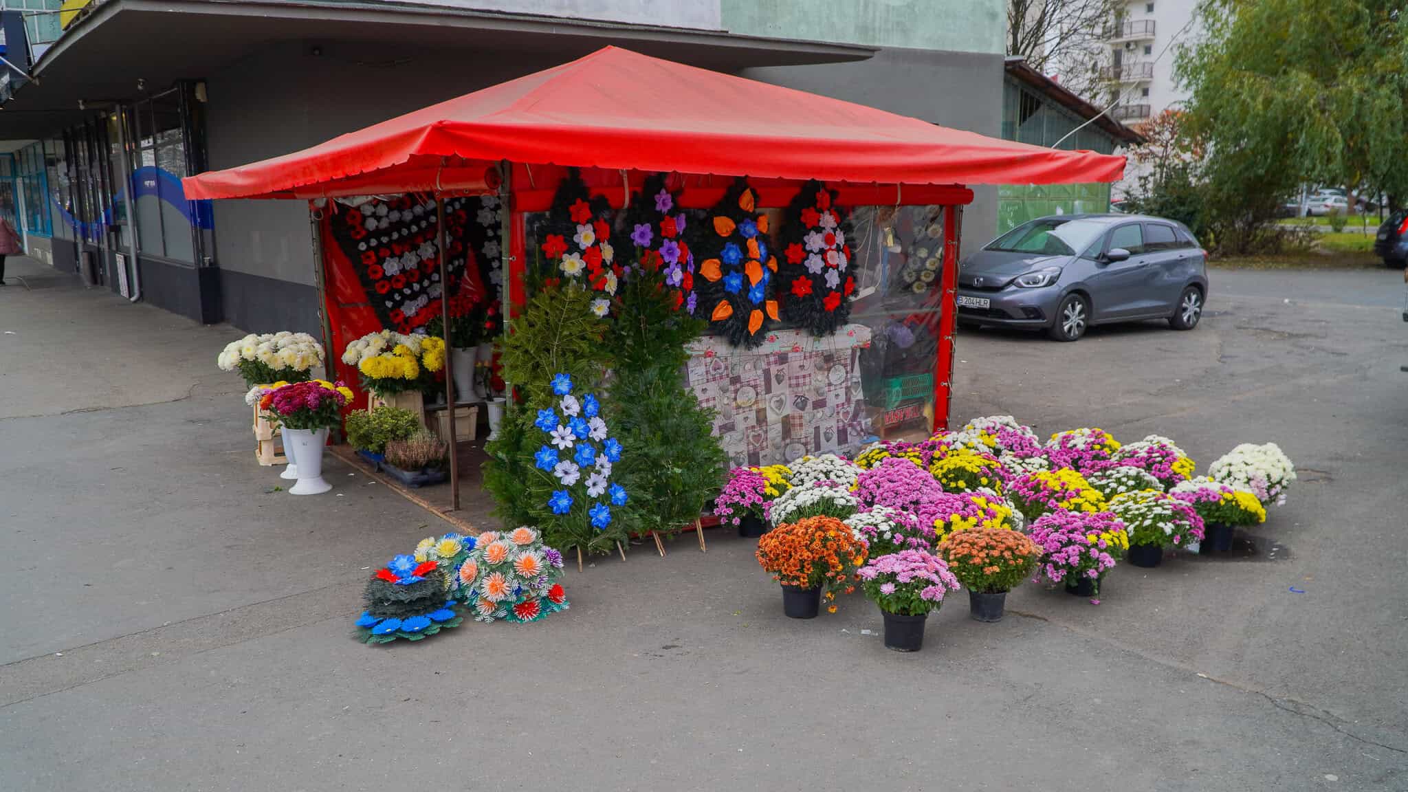 noile chioșcuri pentru flori cumpărate de primăria sibiu, inaugurate. arată bine, iar florăresele sunt încântate (foto video)