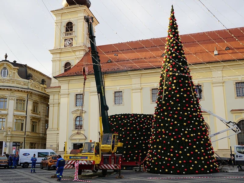 magia sărbătorilor prinde viață la sibiu. bradul din târgul de crăciun este aproape gata (video, foto)