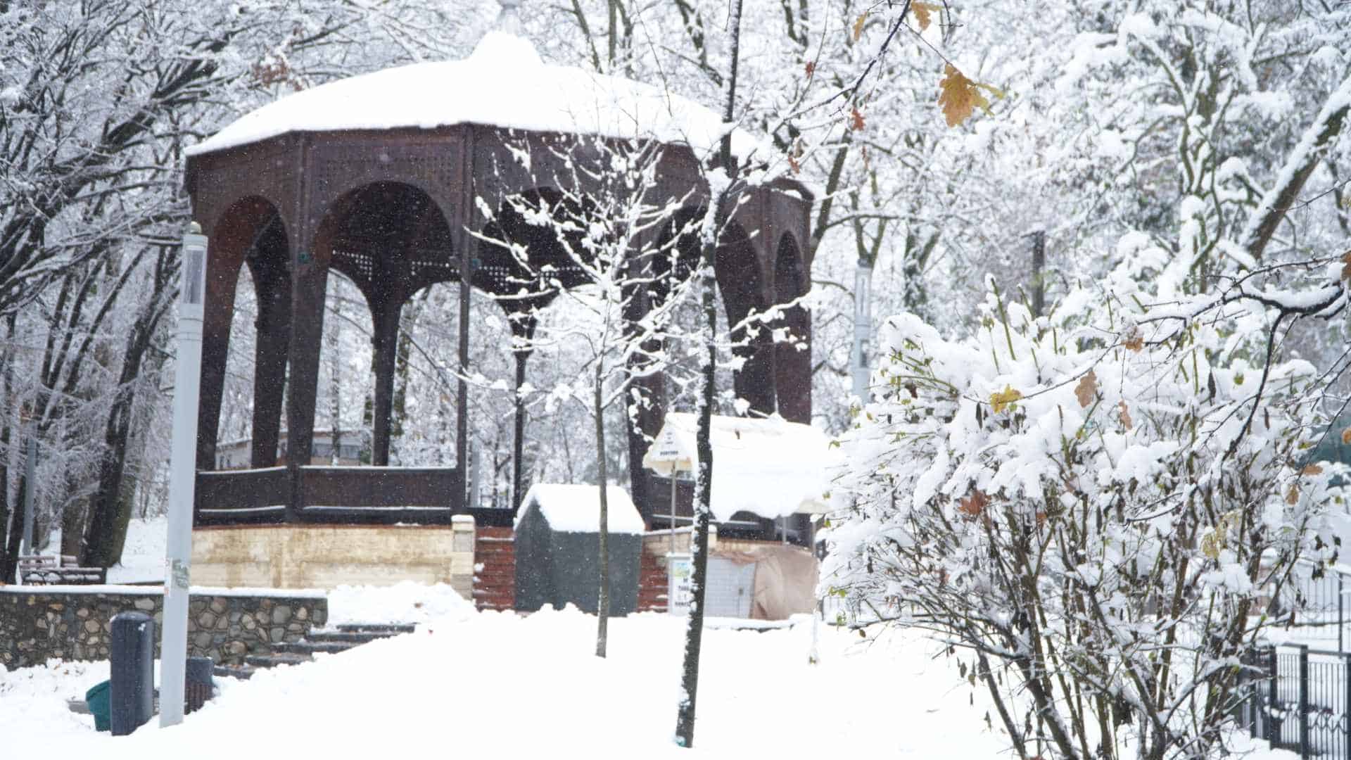 Imagini de basm din Parcul Sub Arini, acoperit de zăpadă. Copiii au mers la derdeluș