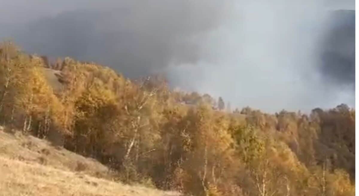 incendiu de pădure pe valea oltului, la câineni. pompierii acționează pe mai multe fronturi (video)